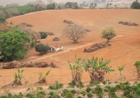 Foto 1 de Fazenda/Sítio com 4 Quartos à venda, 120000m² em , Muzambinho