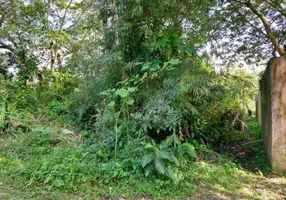 Foto 1 de Lote/Terreno à venda, 1000m² em Tropical, Itanhaém