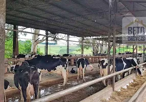 Foto 1 de Fazenda/Sítio à venda, 3025000m² em Zona Rural, Rio Acima