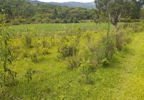 Foto 1 de Fazenda/Sítio à venda, 4500000m² em Centro, São Francisco de Paula