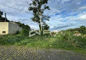 Foto 1 de Lote/Terreno à venda, 450m² em Escola Agrícola, Blumenau