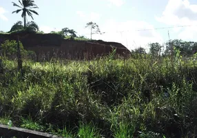 Foto 1 de Fazenda/Sítio à venda, 100000m² em Góes Calmon, Simões Filho