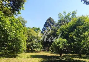 Foto 1 de Fazenda/Sítio com 3 Quartos à venda, 100m² em Estância São Luís, Suzano