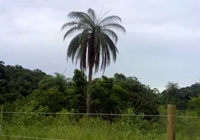 Foto 1 de Lote/Terreno à venda, 20000m² em Zona Rural, Caeté