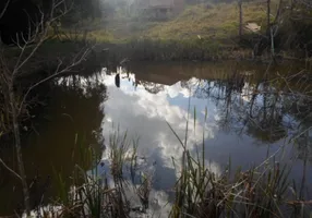 Foto 1 de Fazenda/Sítio com 1 Quarto à venda, 80000m² em Zona Rural, Rio Manso