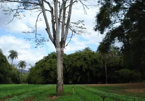 Foto 1 de Fazenda/Sítio à venda, 19675m² em Campo Verde, Mário Campos