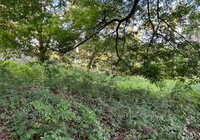 Foto 1 de Lote/Terreno à venda, 1000m² em Braúnas, Belo Horizonte