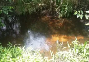 Foto 1 de Fazenda/Sítio à venda, 12000m² em Povoado Mendes, São José de Mipibu