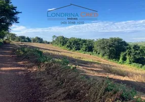 Foto 1 de Lote/Terreno à venda, 42000m² em Zona Rural, Ibiporã