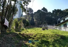 Foto 1 de Lote/Terreno à venda, 1451m² em Petrópolis, Caxias do Sul