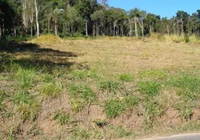 Foto 1 de Lote/Terreno à venda, 19700m² em Rio Abaixo, Atibaia