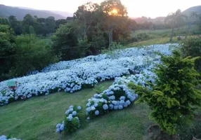 Foto 1 de Fazenda/Sítio com 1 Quarto à venda, 111900m² em Carazal, Gramado