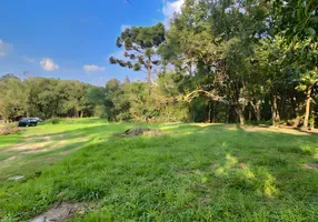 Foto 1 de Lote/Terreno com 1 Quarto à venda, 4000m² em Campo Comprido, Curitiba