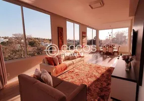 Foto 1 de Casa com 3 Quartos para alugar, 352m² em Vigilato Pereira, Uberlândia