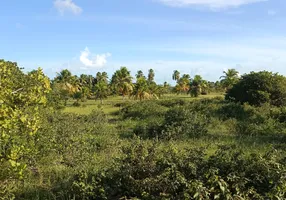 Foto 1 de Fazenda/Sítio com 4 Quartos à venda, 28000m² em Centro, Touros