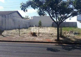 Foto 1 de Lote/Terreno à venda, 250m² em Alto Umuarama, Uberlândia