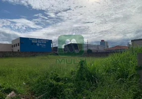 Foto 1 de Lote/Terreno com 1 Quarto para alugar, 1600m² em Brasil, Uberlândia