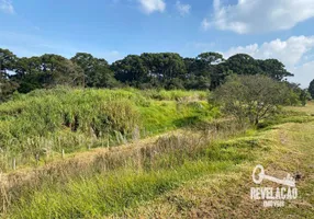 Foto 1 de Lote/Terreno à venda, 27219m² em Zacarias, São José dos Pinhais