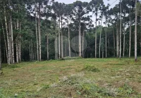 Foto 1 de Fazenda/Sítio à venda, 3000m² em Jardim Paulista, Campina Grande do Sul