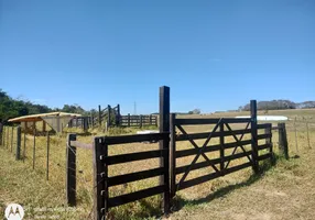 Foto 1 de Fazenda/Sítio à venda em Area Rural de Pereiras, Pereiras