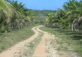 Foto 1 de Fazenda/Sítio com 3 Quartos à venda, 3760000m² em Subaúma, Entre Rios