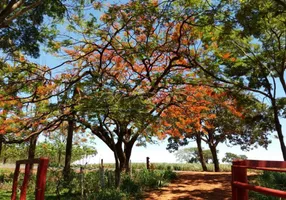 Foto 1 de Fazenda/Sítio com 3 Quartos à venda, 500m² em , Orindiúva