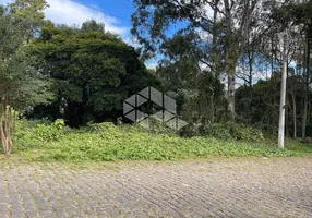 Foto 1 de Lote/Terreno à venda, 498m² em Santa Lúcia, Caxias do Sul