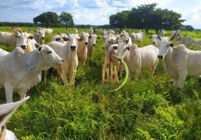 Foto 1 de Fazenda/Sítio à venda, 14810400m² em Centro, Figueirópolis