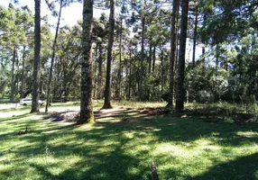 Foto 1 de Lote/Terreno à venda, 750m² em Caracol, Canela