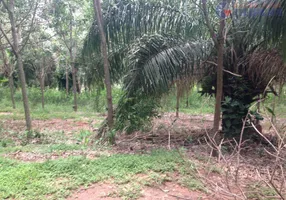 Foto 1 de Fazenda/Sítio com 4 Quartos à venda, 847000m² em Zona Rural, União Paulista