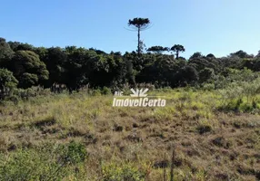 Foto 1 de Lote/Terreno à venda, 6500m² em Cidade Industrial, Curitiba