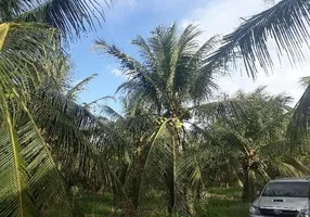 Foto 1 de Fazenda/Sítio à venda, 380000m² em Sitio Arena, São José de Mipibu