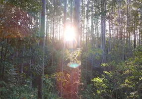 Foto 1 de Fazenda/Sítio à venda, 160000m² em Rio do Poncho, São Bonifácio