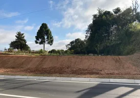 Foto 1 de Lote/Terreno à venda em Vila Santa Terezinha, Campo Largo