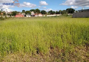 Foto 1 de Lote/Terreno à venda, 175m² em Loteamento Parque do Museu, Caçapava