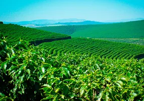 Foto 1 de Fazenda/Sítio à venda, 500m² em Nossa Senhora das Graças, Governador Valadares