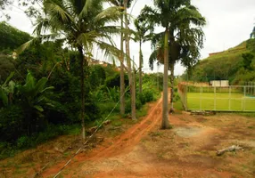 Foto 1 de Fazenda/Sítio com 3 Quartos à venda, 180m² em Palmeiras, Ponte Nova