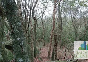 Foto 1 de Fazenda/Sítio à venda, 10408m² em Chácara Alpinas, Valinhos