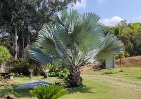 Foto 1 de Fazenda/Sítio com 8 Quartos à venda, 350m² em Brodoski, Betim