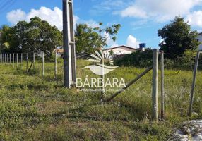 Café Arábica E Conilon A Venda em Senhor do Bonfim BA à venda. 255184