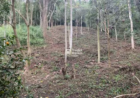 Foto 1 de Lote/Terreno à venda, 1533m² em Parque Dom João VI, Nova Friburgo