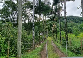 Foto 1 de Fazenda/Sítio com 2 Quartos à venda, 360m² em Gaviotas, Itanhaém