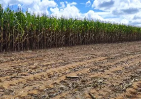 Foto 1 de Fazenda/Sítio à venda, 650000m² em Zona Rural, Campo Alegre de Goiás