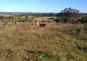 Foto 1 de Fazenda/Sítio com 4 Quartos à venda, 150m² em Estancia Grande, Viamão