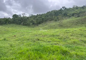 Foto 1 de Lote/Terreno à venda, 21800m² em Zona Rural, Belmiro Braga