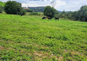 Foto 1 de Fazenda/Sítio com 1 Quarto à venda, 10m² em Centro, São João da Mata