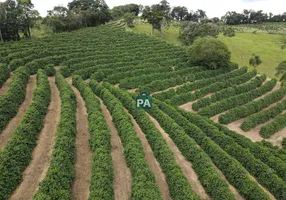Foto 1 de Fazenda/Sítio com 1 Quarto à venda, 480000m² em , Bandeira do Sul