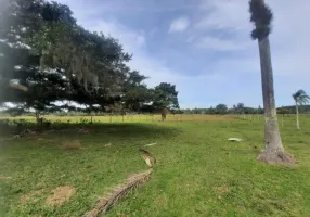 Foto 1 de Fazenda/Sítio com 1 Quarto à venda, 25000m² em , Passo de Torres