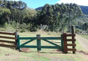 Foto 1 de Fazenda/Sítio à venda, 149100m² em , Gramado