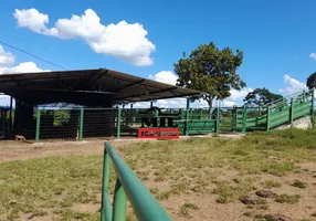 Foto 1 de Fazenda/Sítio à venda em Setor Central, Hidrolina